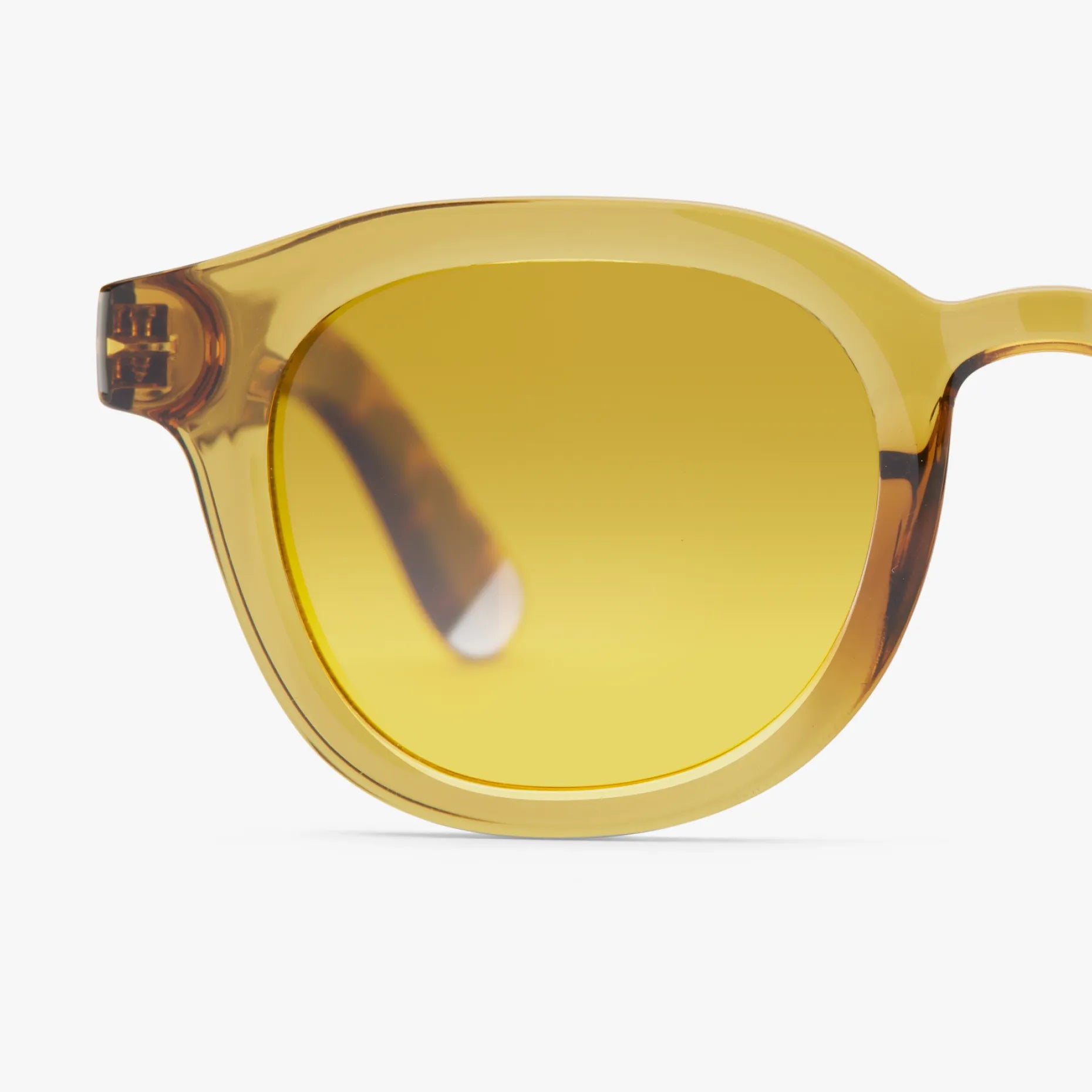 Andy Glossy Sunglasses