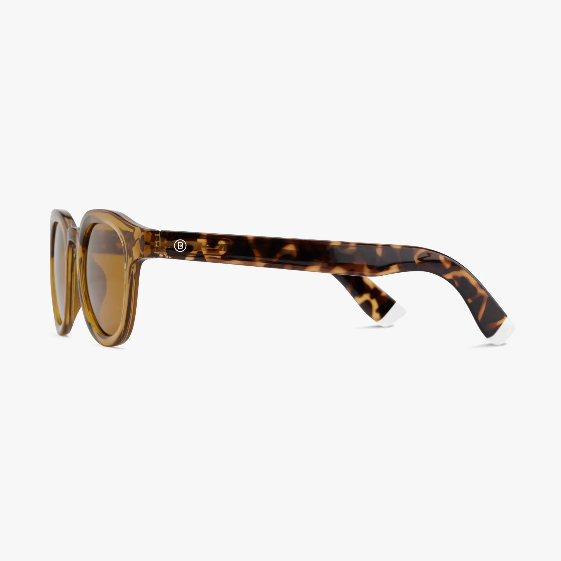 Andy Glossy Sunglasses