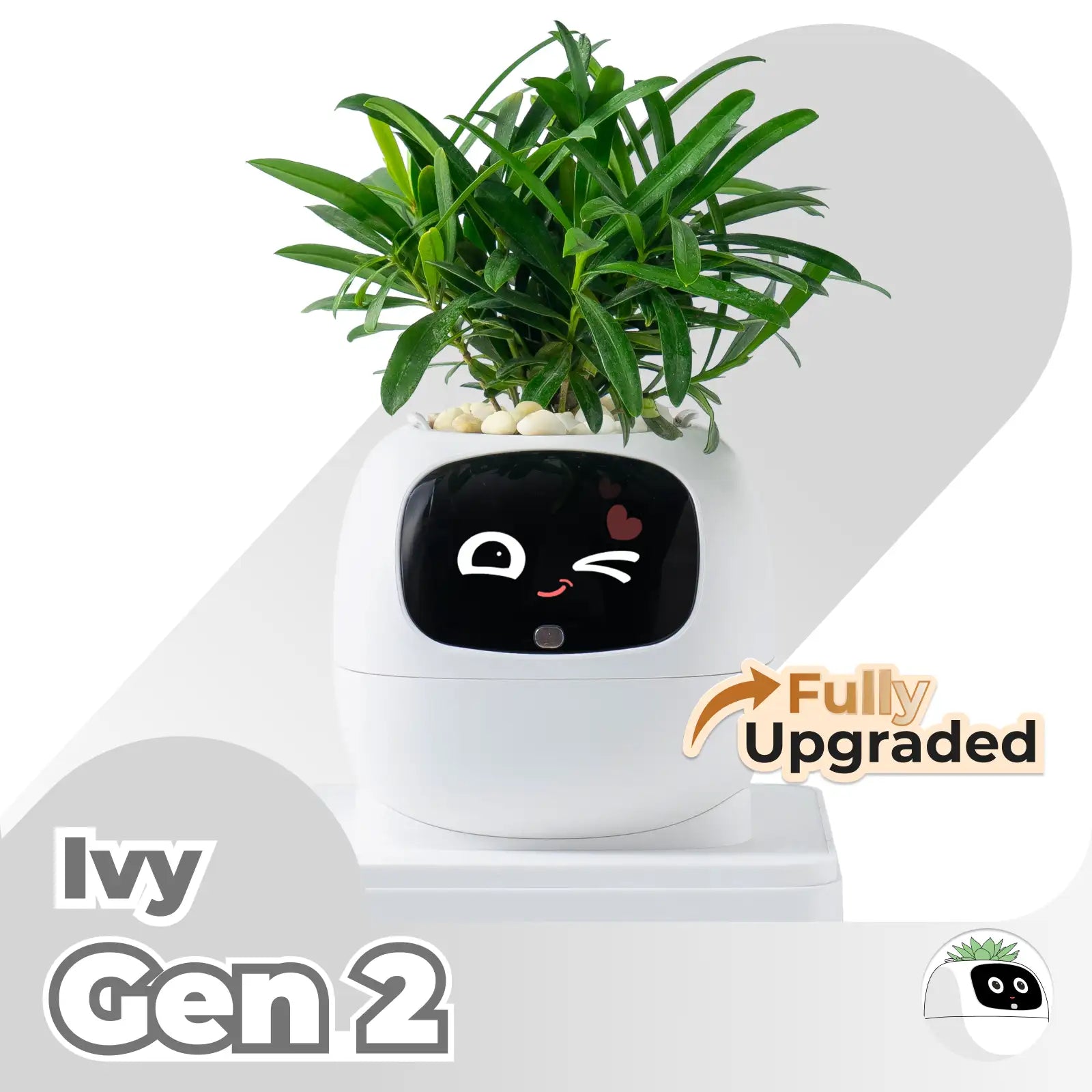 Ivy Gen 2 Smart Planter