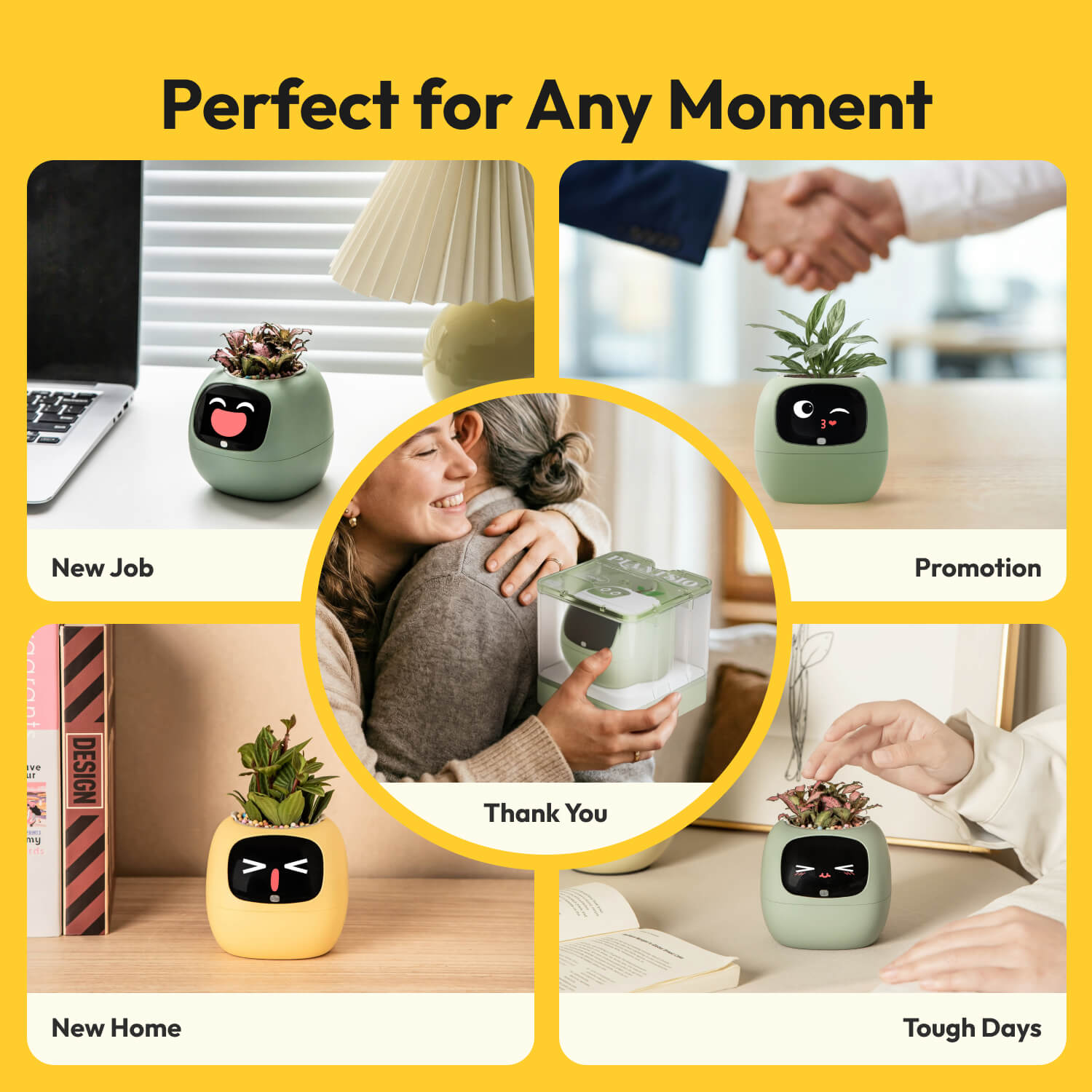 Ivy Gen 2 Smart Planter