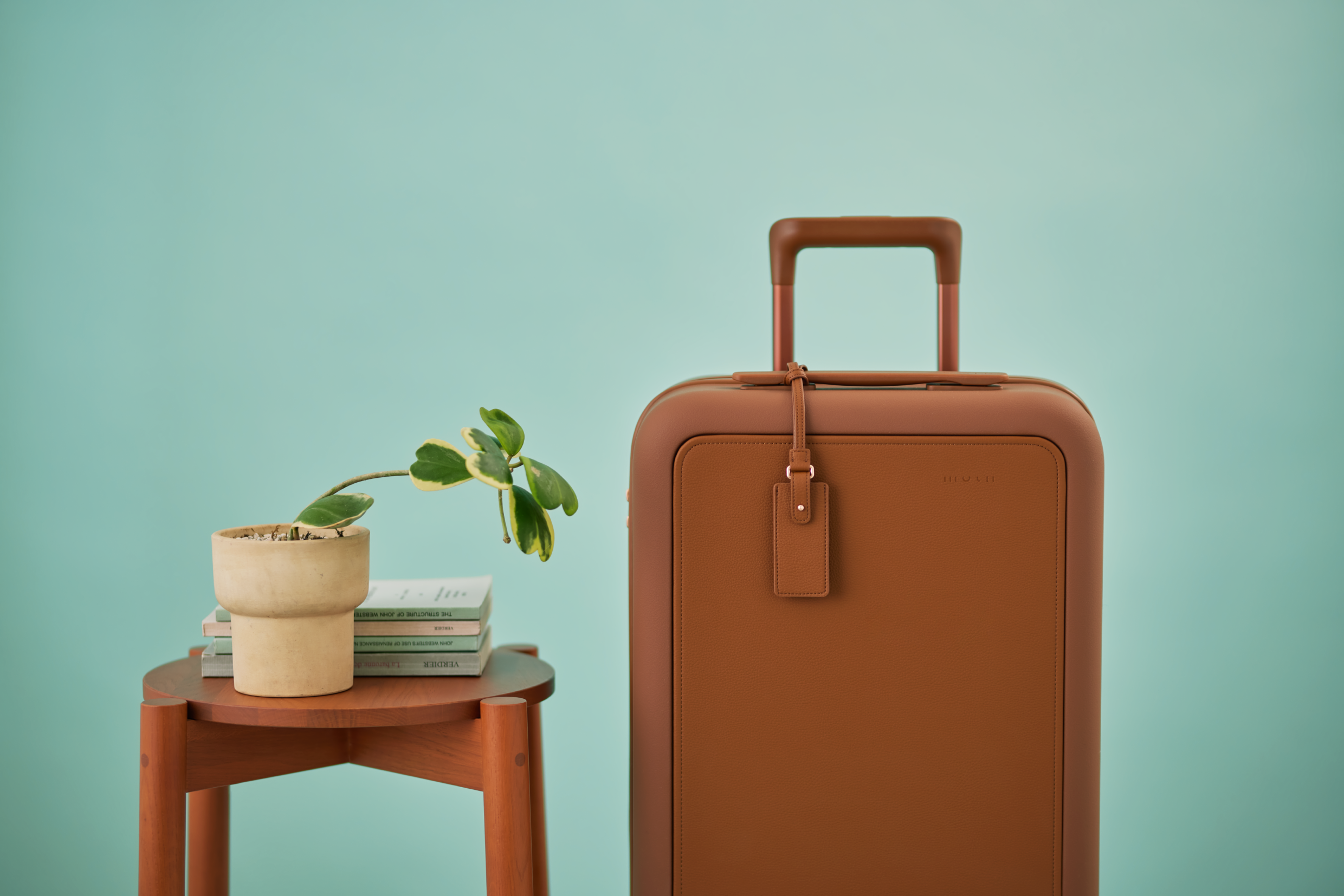 Luggage Tag Umber