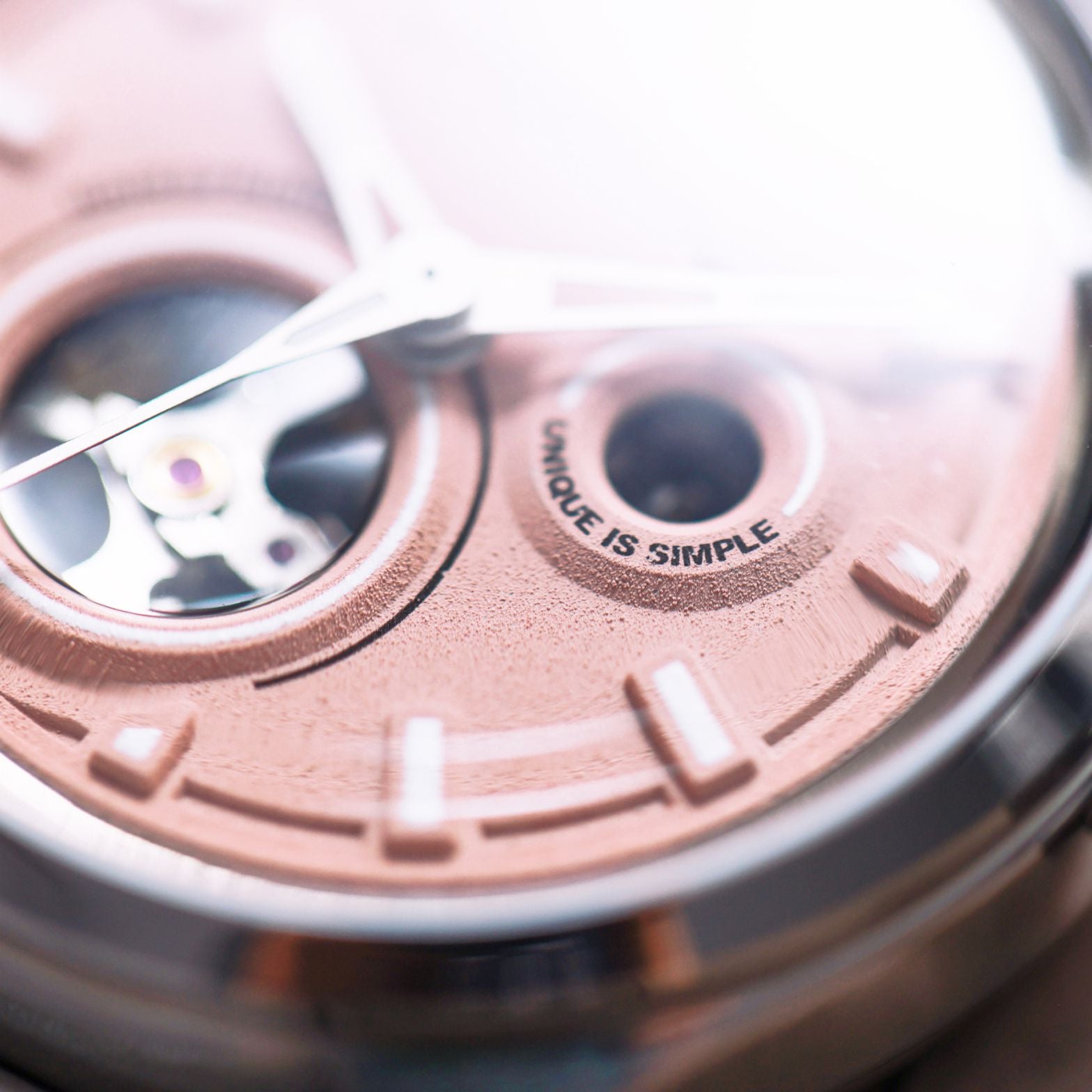 Architecture Automatic Watch, Raspberry | TACS - Wake Concept Store