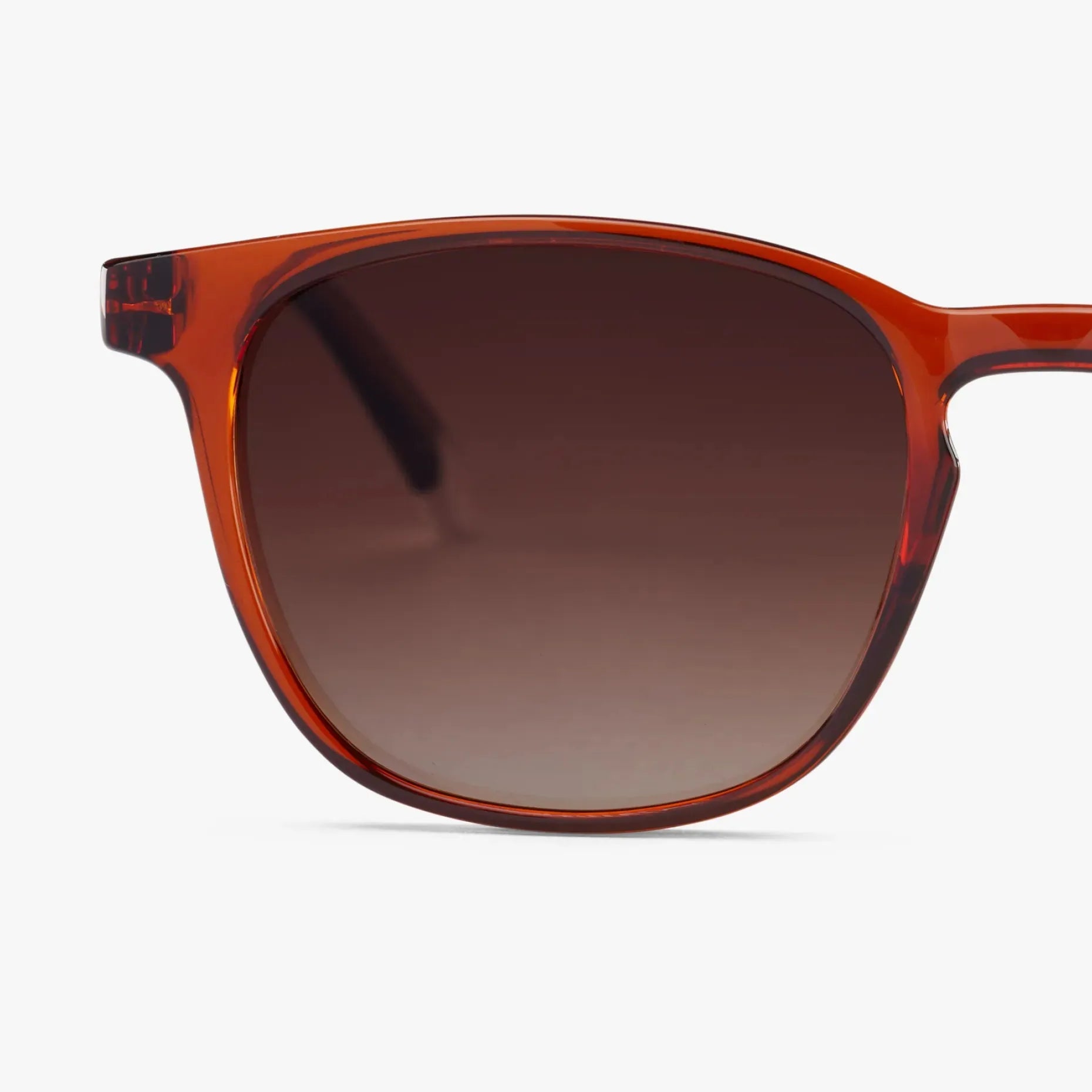 Dalston Glossy Sunglasses