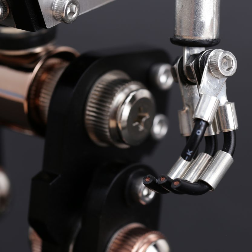 Robotoys X Automatic Vintage Lens II, Bronze | TACS - Wake Concept Store