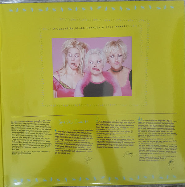 Dixie Chicks : Fly (2xLP, Album, RE, RM)
