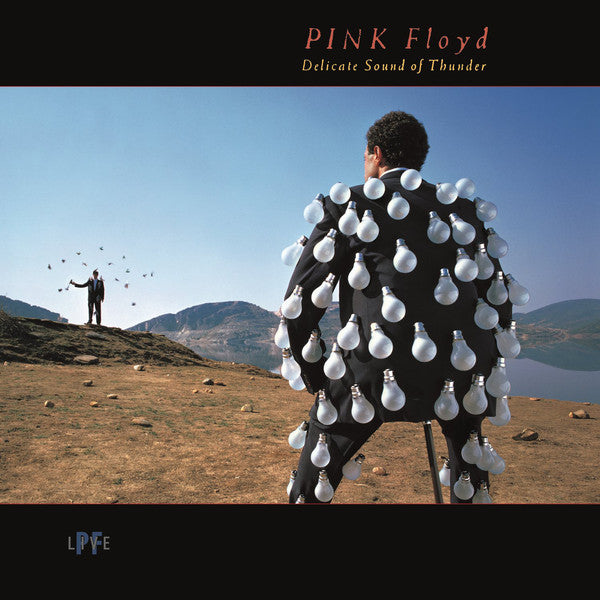 Pink Floyd : Delicate Sound Of Thunder (2xLP, Album, RE, RM, 180)