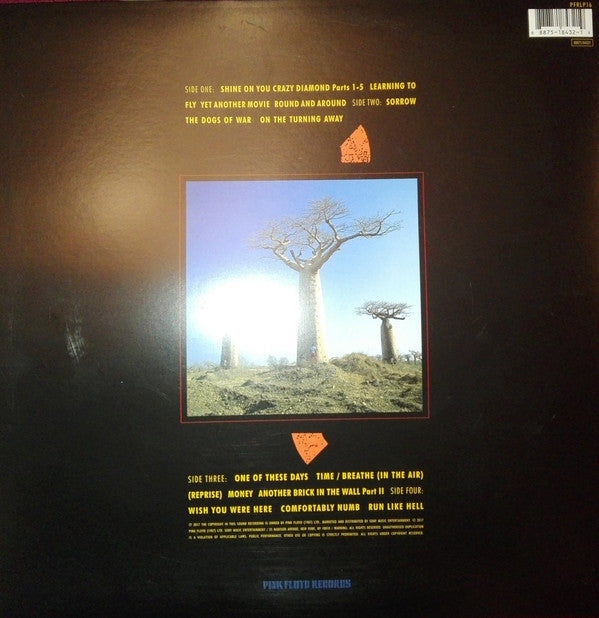 Pink Floyd : Delicate Sound Of Thunder (2xLP, Album, RE, RM, 180)