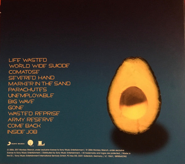 Pearl Jam : Pearl Jam (CD, Album, RE, Dig)