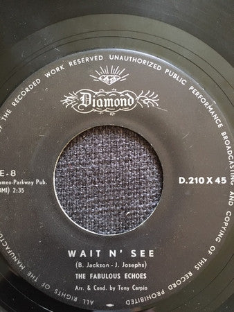 The Fabulous Echoes : Wait N' See / For You (7", Single)