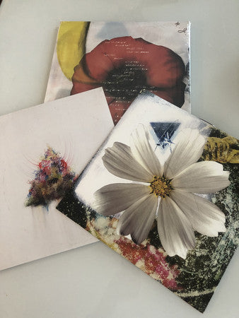 Teebs : Ardour 10th Anniversary Edition (2xLP, Album, Ltd, RE, Dee)