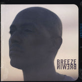 Breezly Brewin : Hindsight (2xLP)