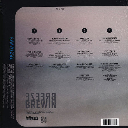 Breezly Brewin : Hindsight (2xLP)
