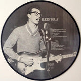 Buddy Holly : Buddy Holly (LP, Comp, Pic)