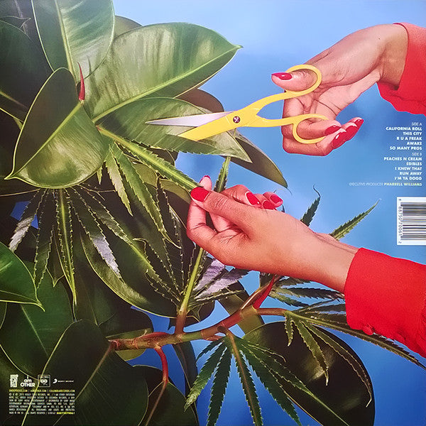 Snoop Dogg : Bush (LP, Album, Blu)