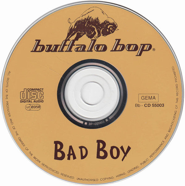Various : Bad Boy (CD, Comp)