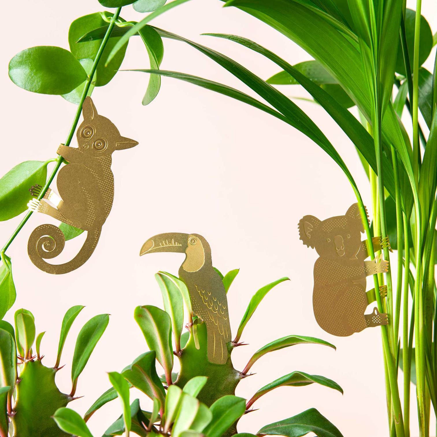 Plant Animal | Plant Animal - Wake Concept Store