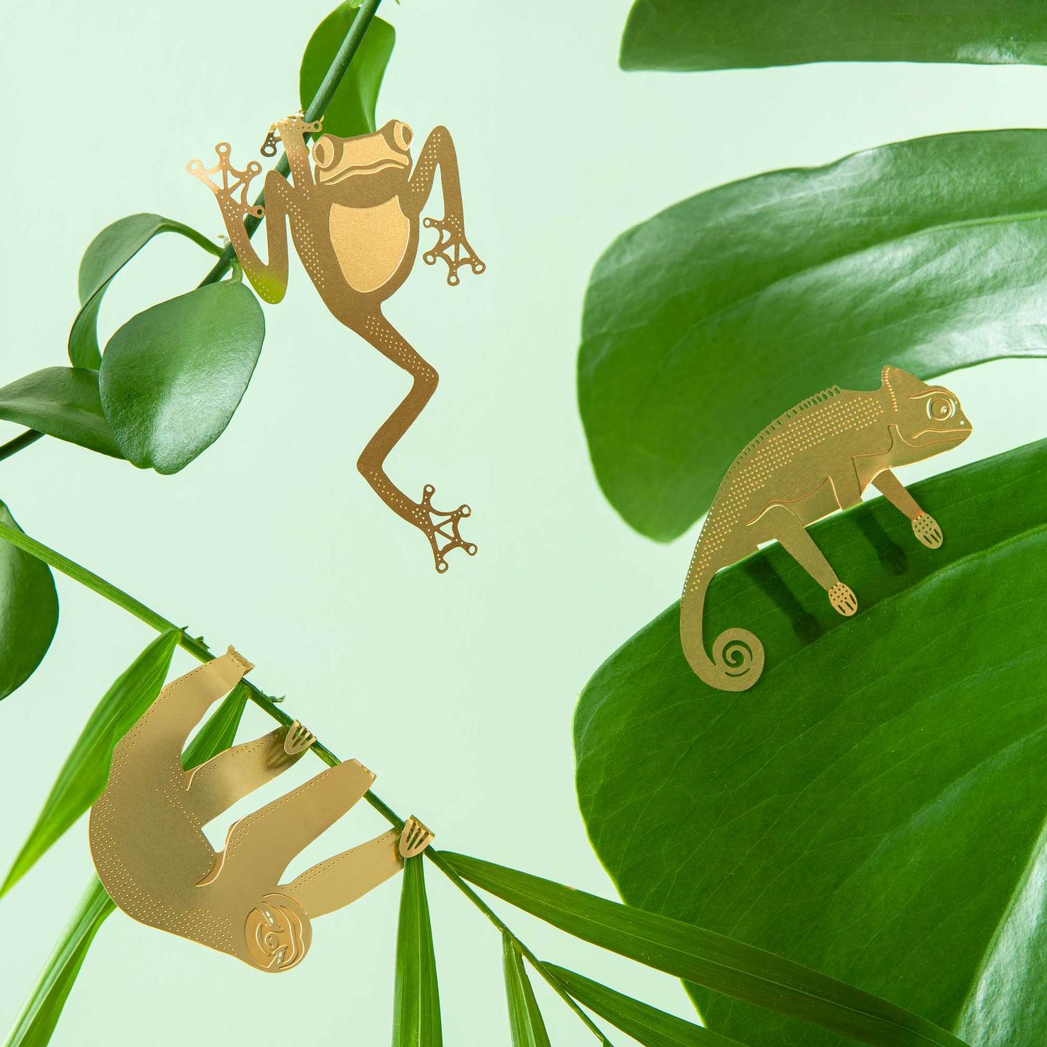Plant Animal | Plant Animal - Wake Concept Store