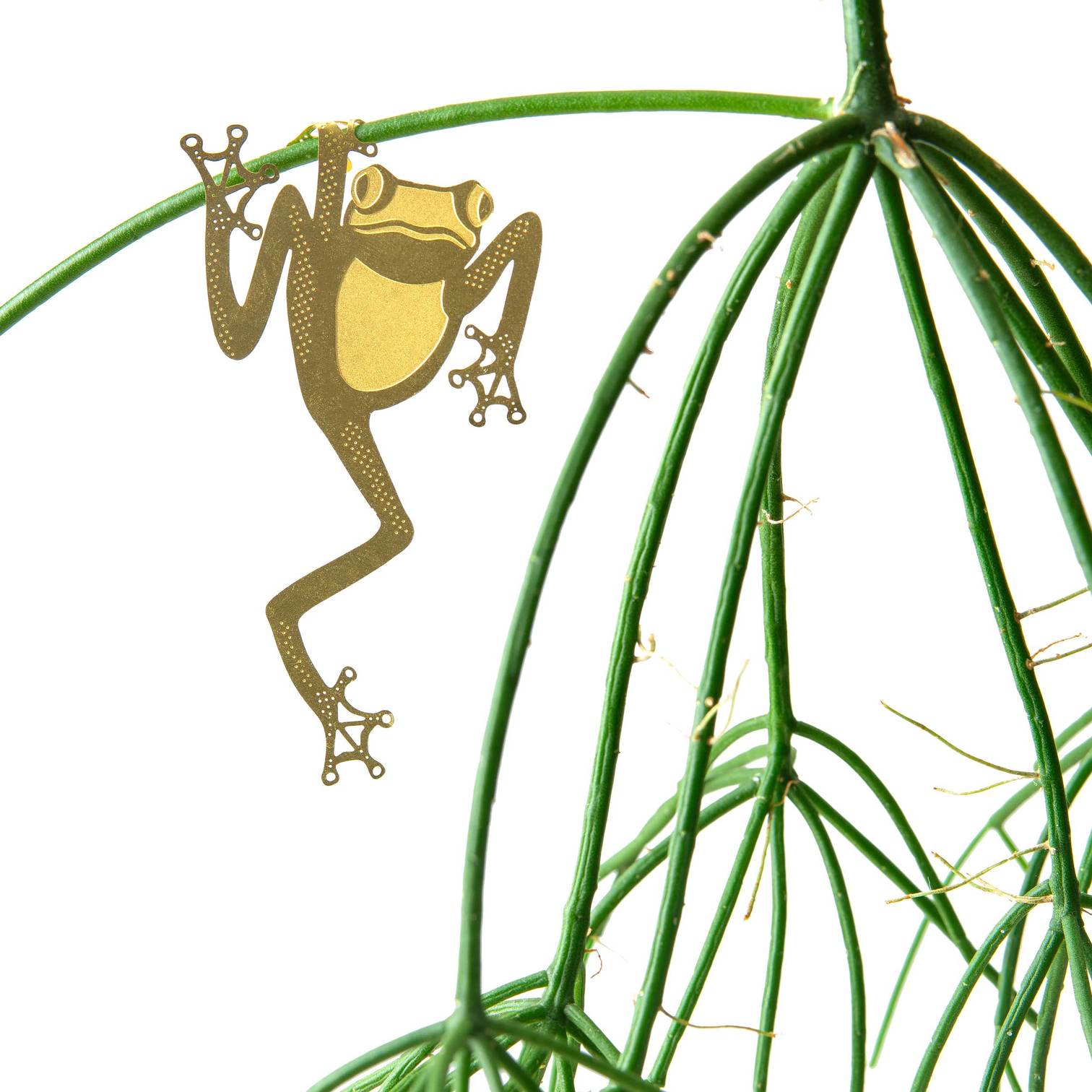 Plant Animal | Plant Animal - Wake Concept Store
