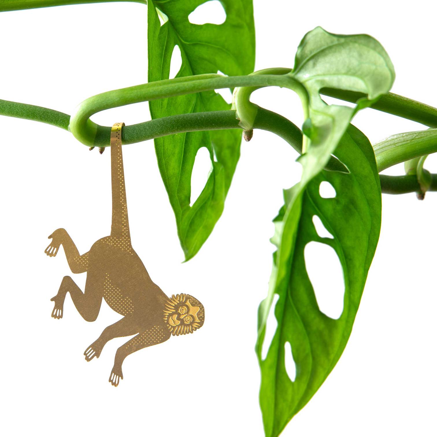 Plant Animal | Plant Animal - Wake Concept Store