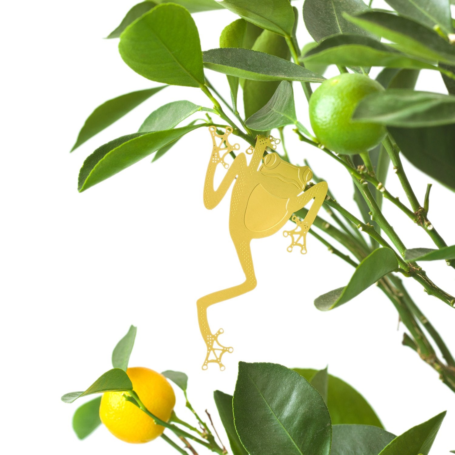 Plant Animal | Plant Animal - Wake Concept Store
