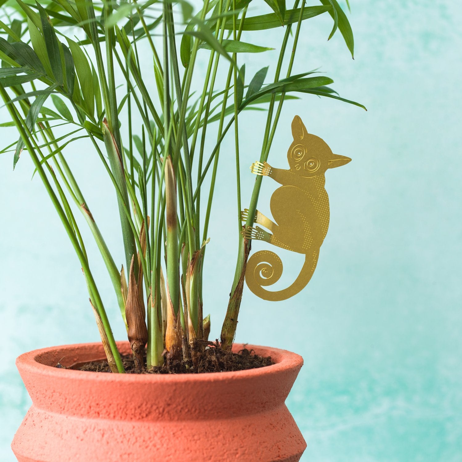 Plant Animal | Plant Animal - Wake Concept Store