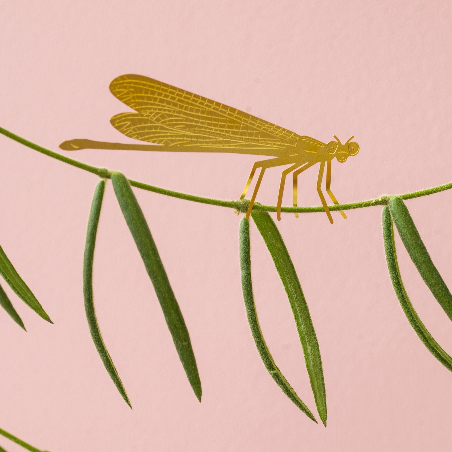 Plant Animal | Plant Animal - Wake Concept Store