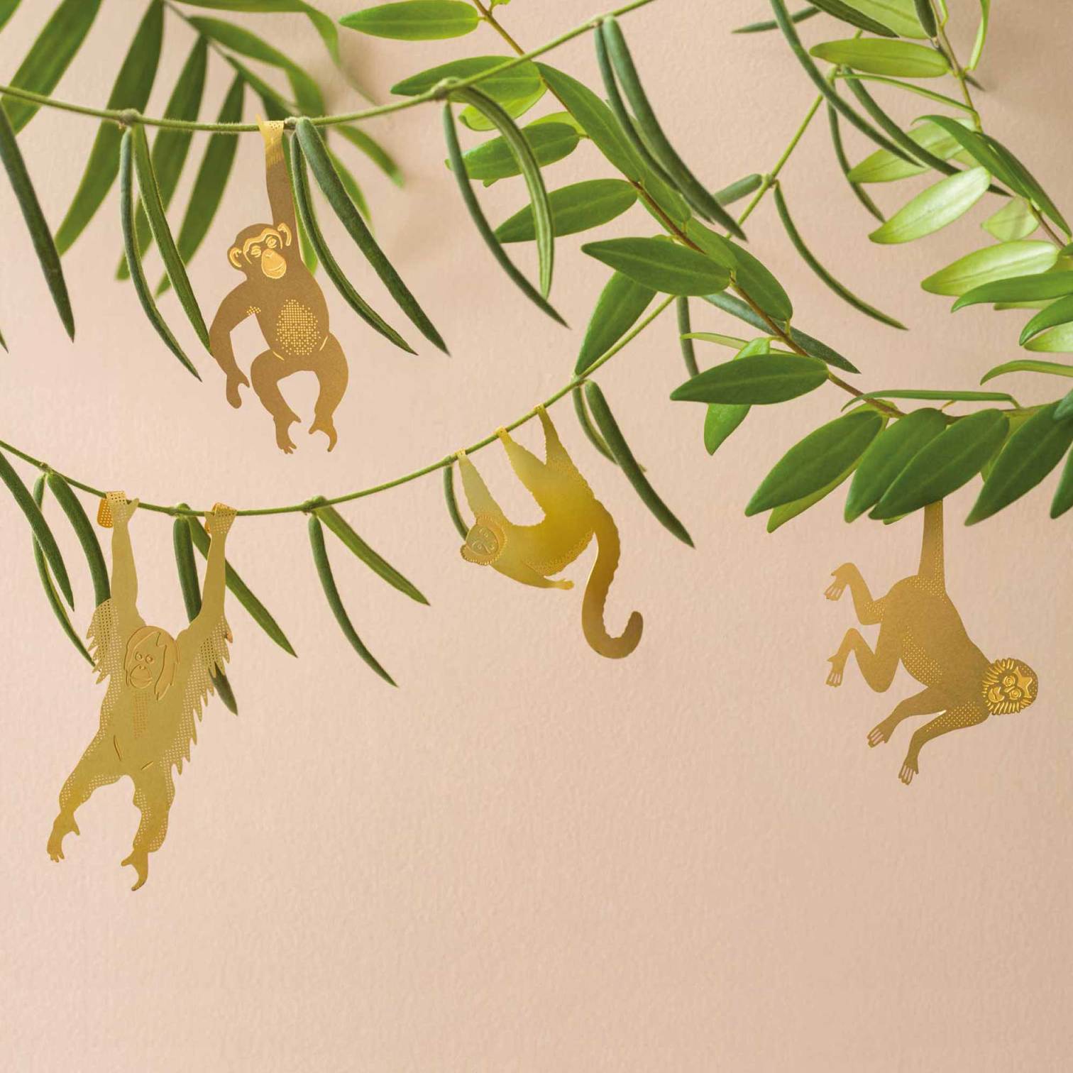 Plant Animal | Plant Animal - Wake Concept Store
