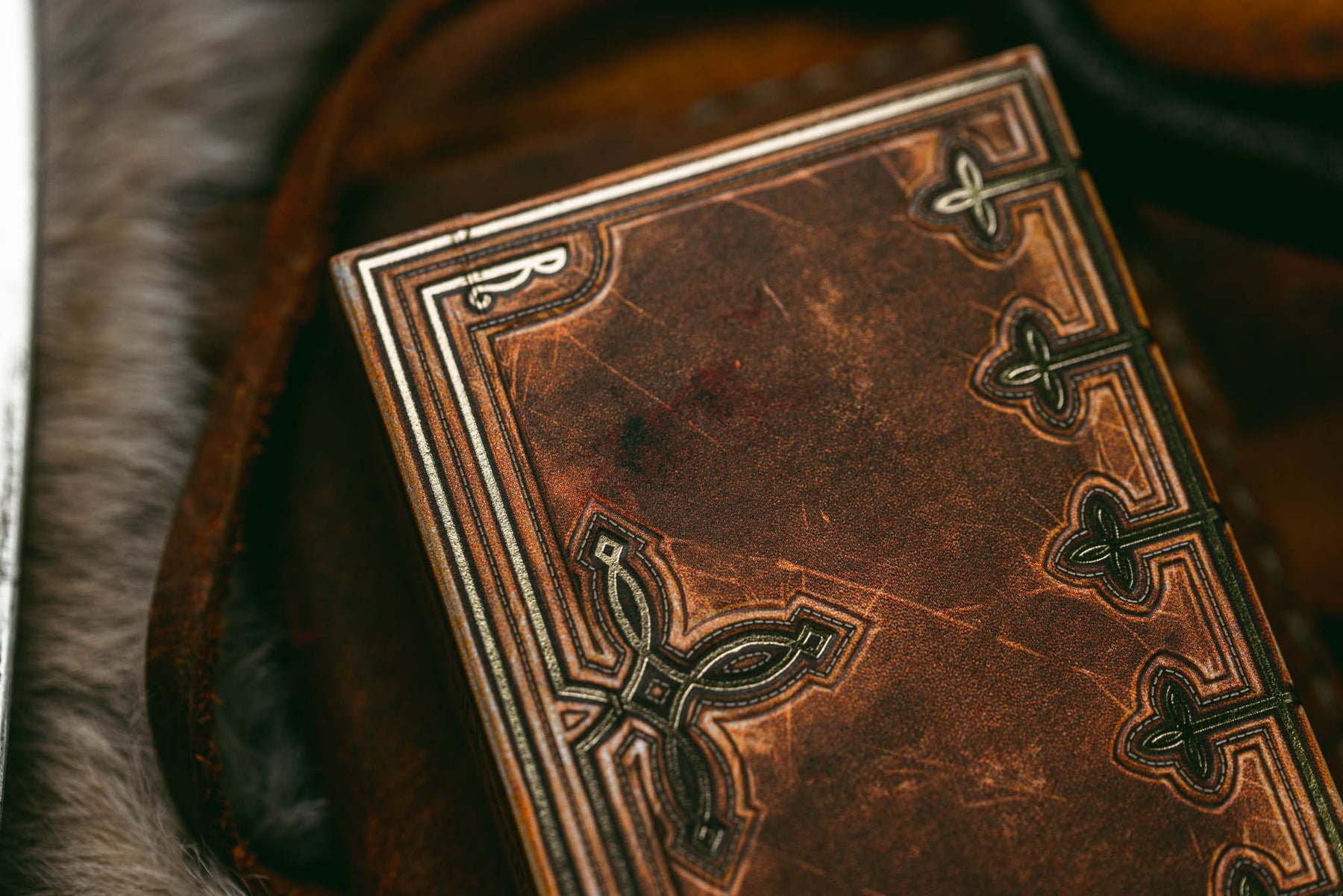 Beowulf - Standard Edition | Kings Wild Project - Wake.HK