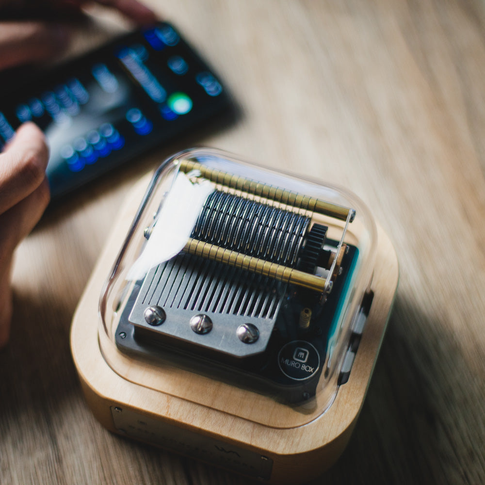 Muro Box N20 Mechanical Music Box | Muro Box - Wake Concept Store