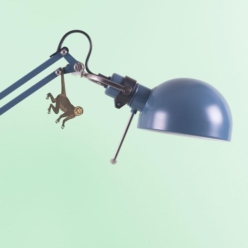 Plant Animal | Plant Animal - Wake Concept Store
