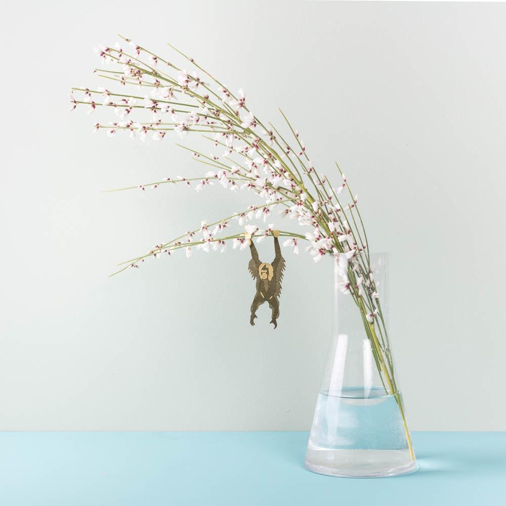 Plant Animal | Plant Animal - Wake Concept Store