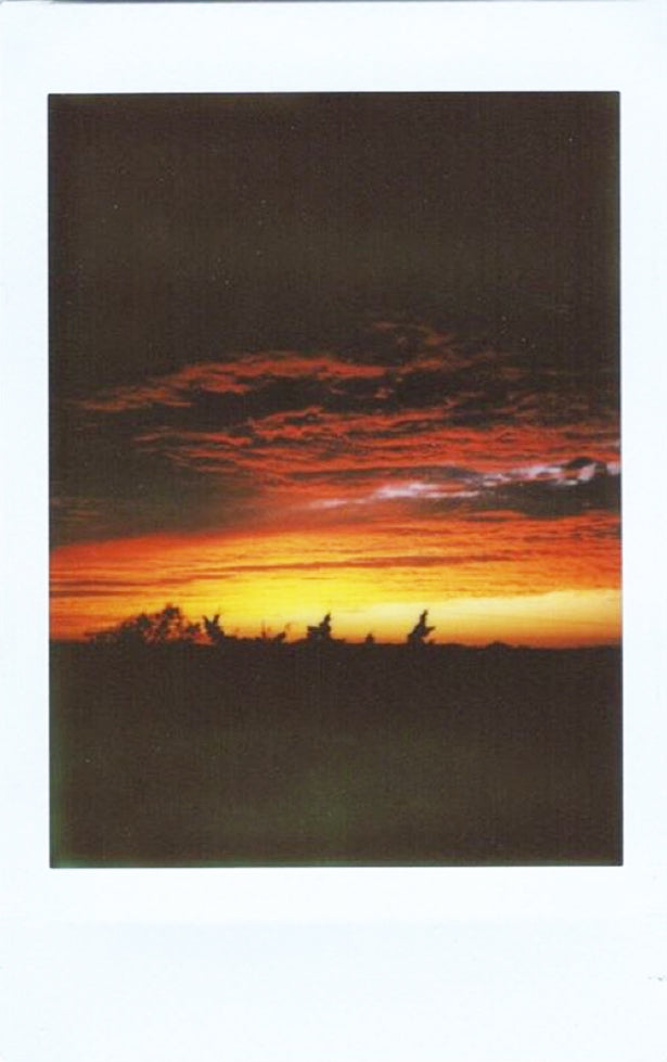 InstantFlex TL70 2.0 | MiNT Camera - Wake.HK