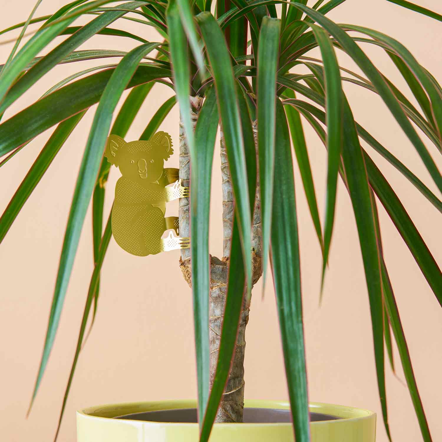 Plant Animal | Plant Animal - Wake Concept Store