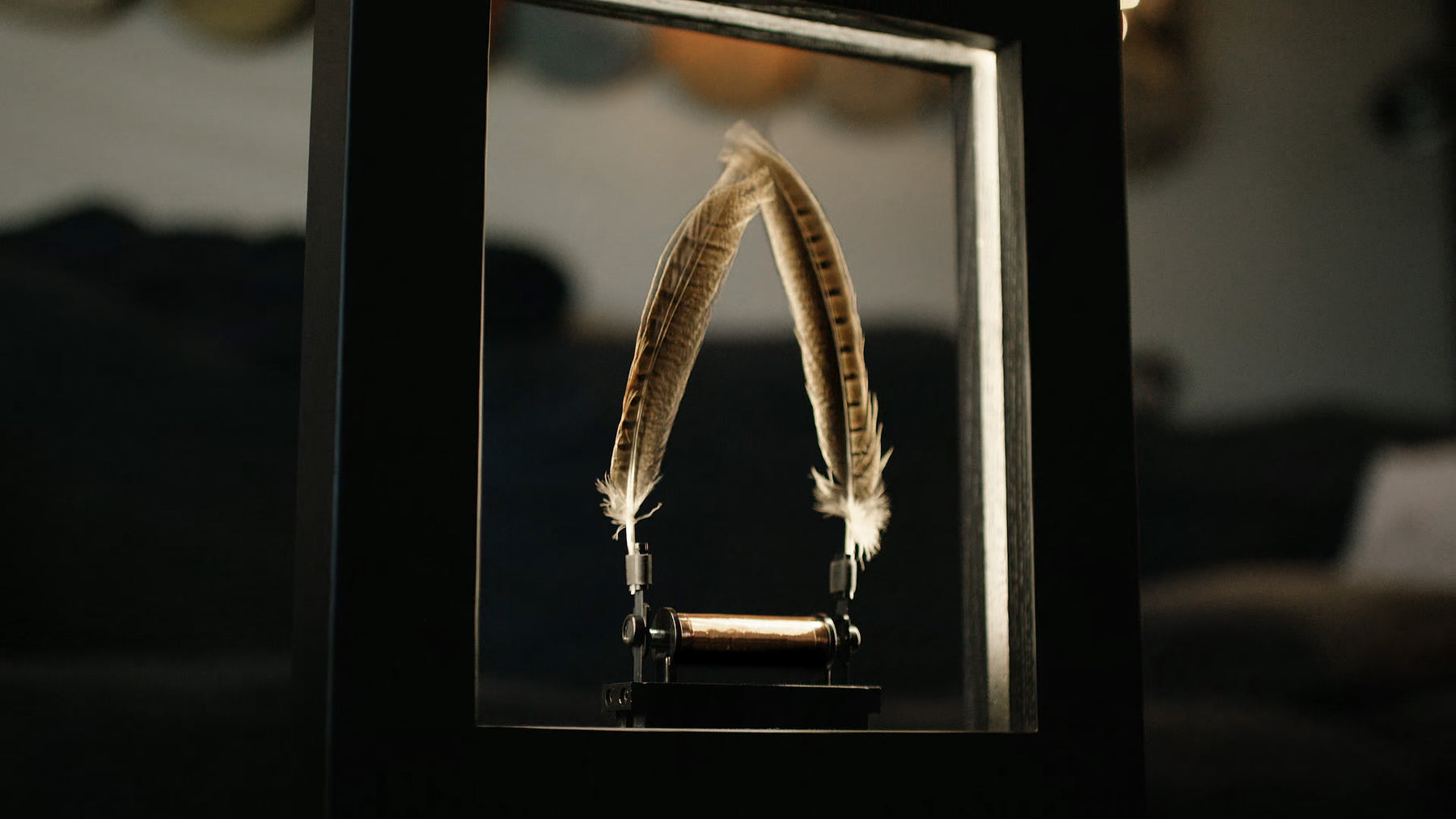 Slow Dance | Wonder Machines - Wake.HK