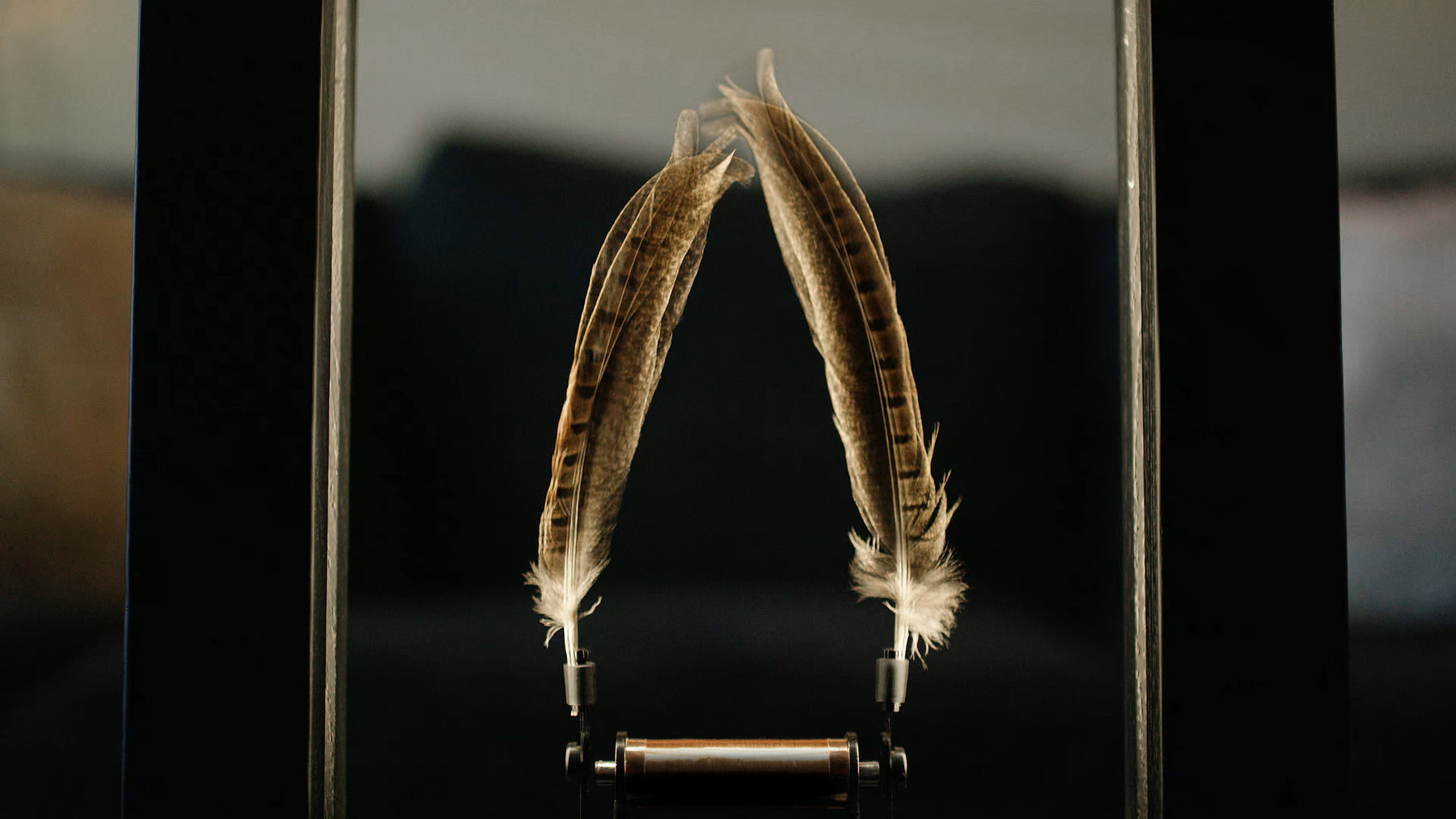 Slow Dance | Wonder Machines - Wake.HK