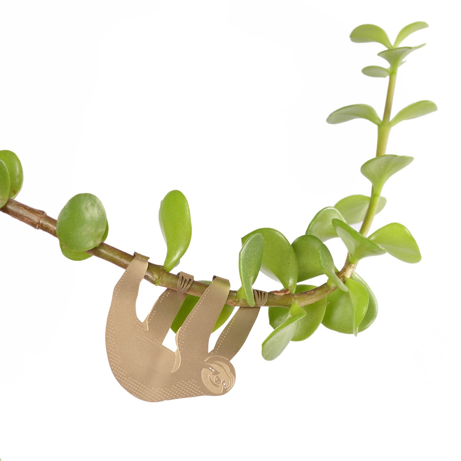 Plant Animal | Plant Animal - Wake Concept Store