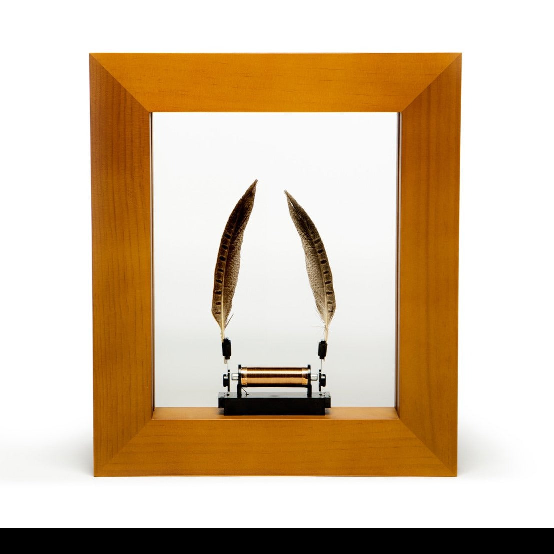 Slow Dance | Wonder Machines - Wake.HK