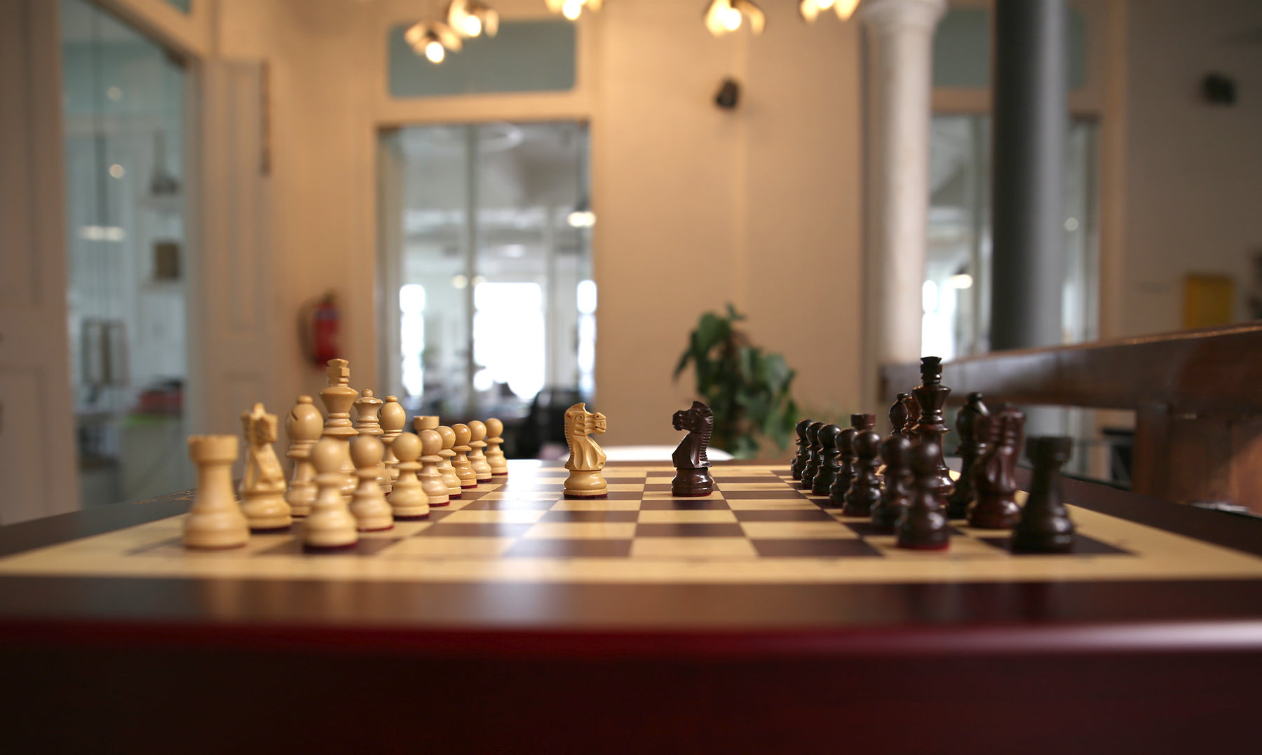 Kingdom Set | Square Off - Wake Concept Store