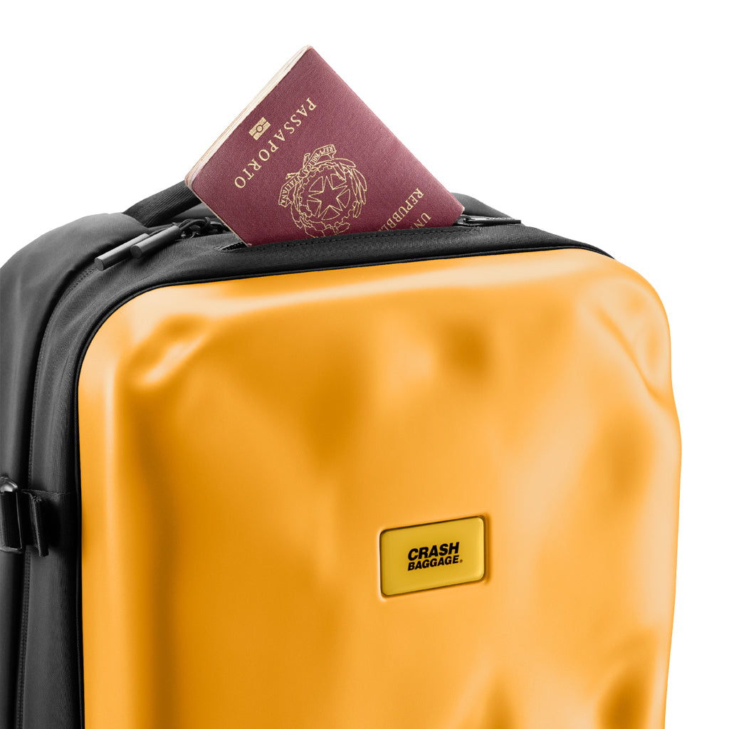 Iconic Backpack | Crash Baggage - Wake Concept Store