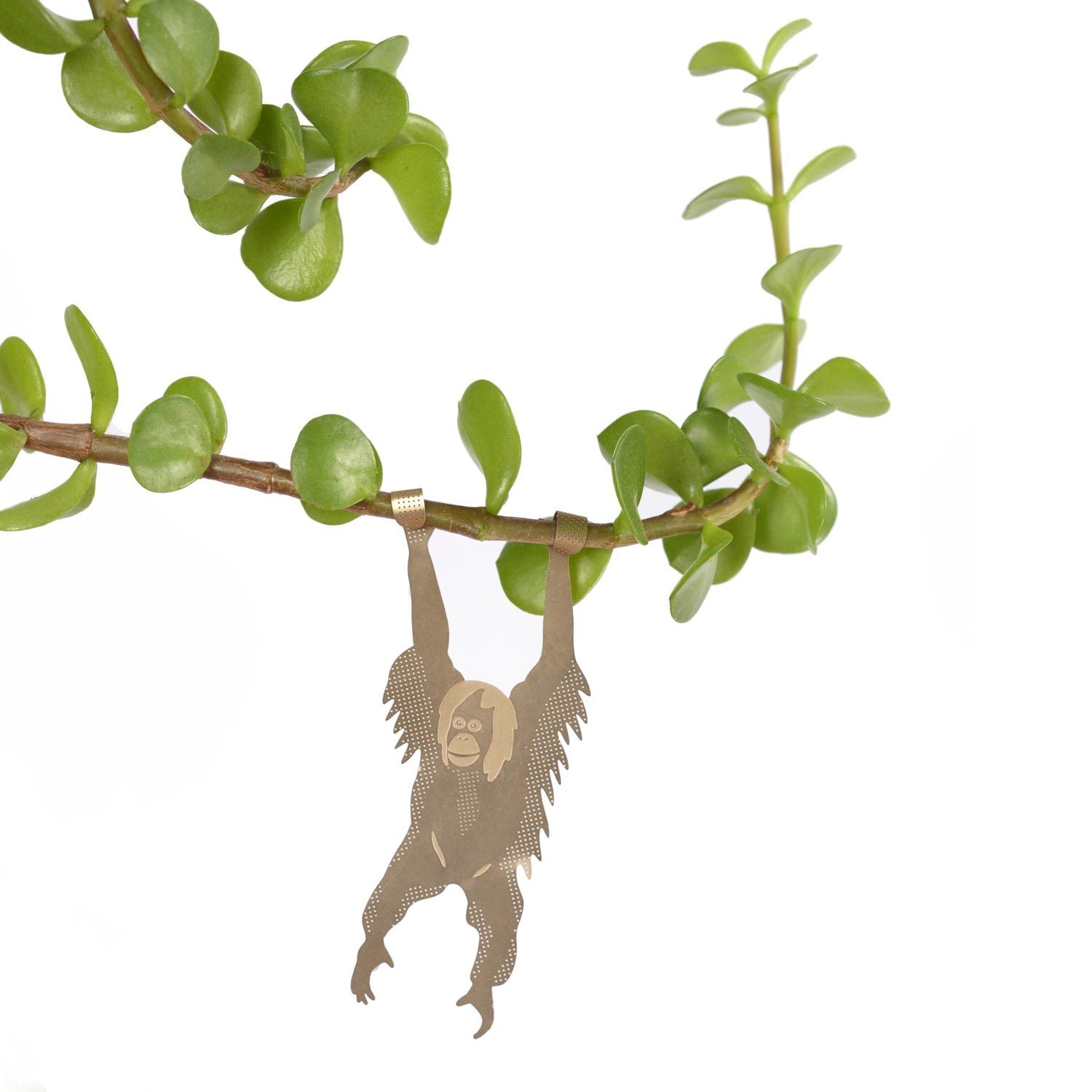 Plant Animal | Plant Animal - Wake Concept Store