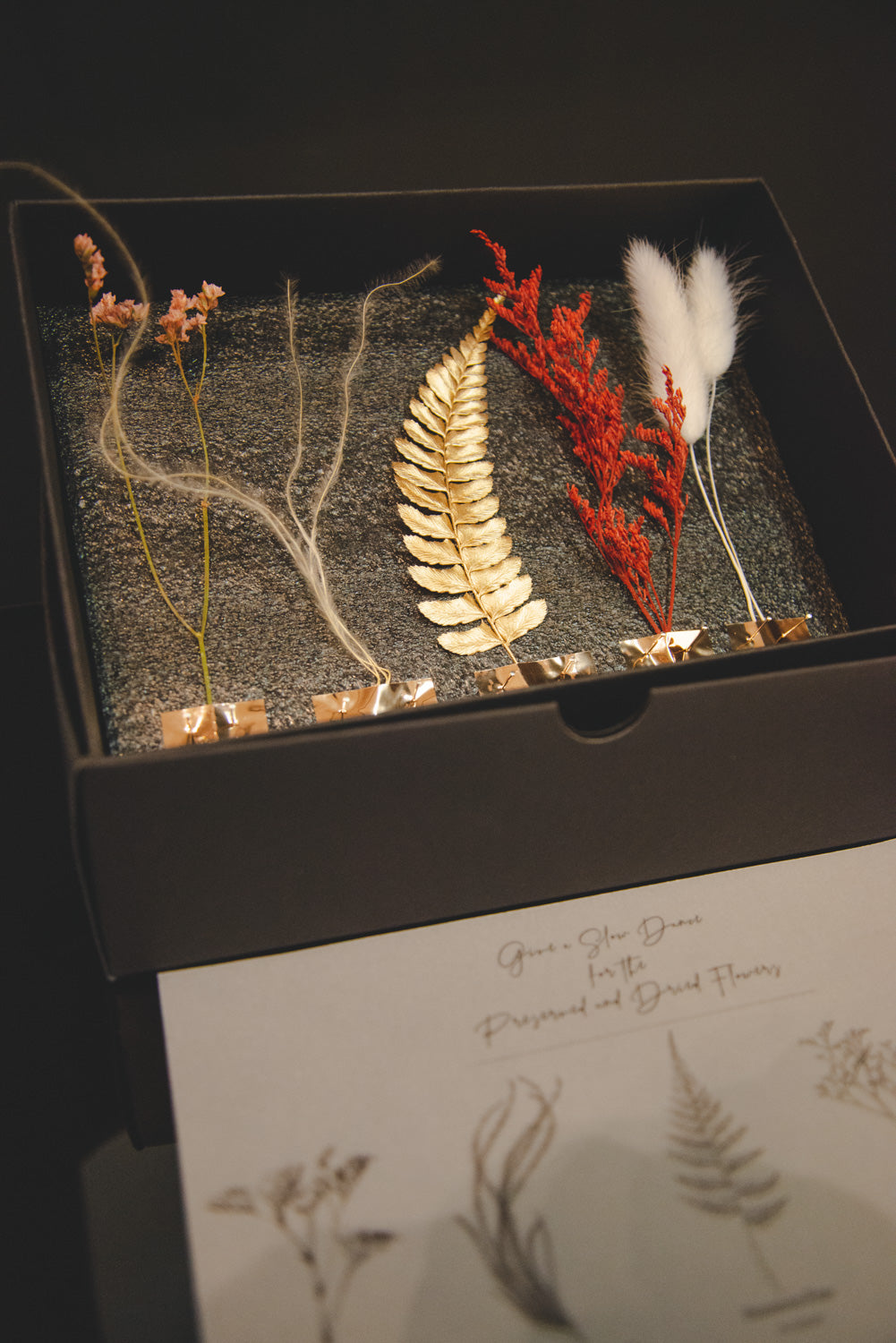 【Wake X Flos】 Dried and Preserve Flower Box for Slow Dance Frame - X'mas Edition | Wonder Machines - Wake Concept Store