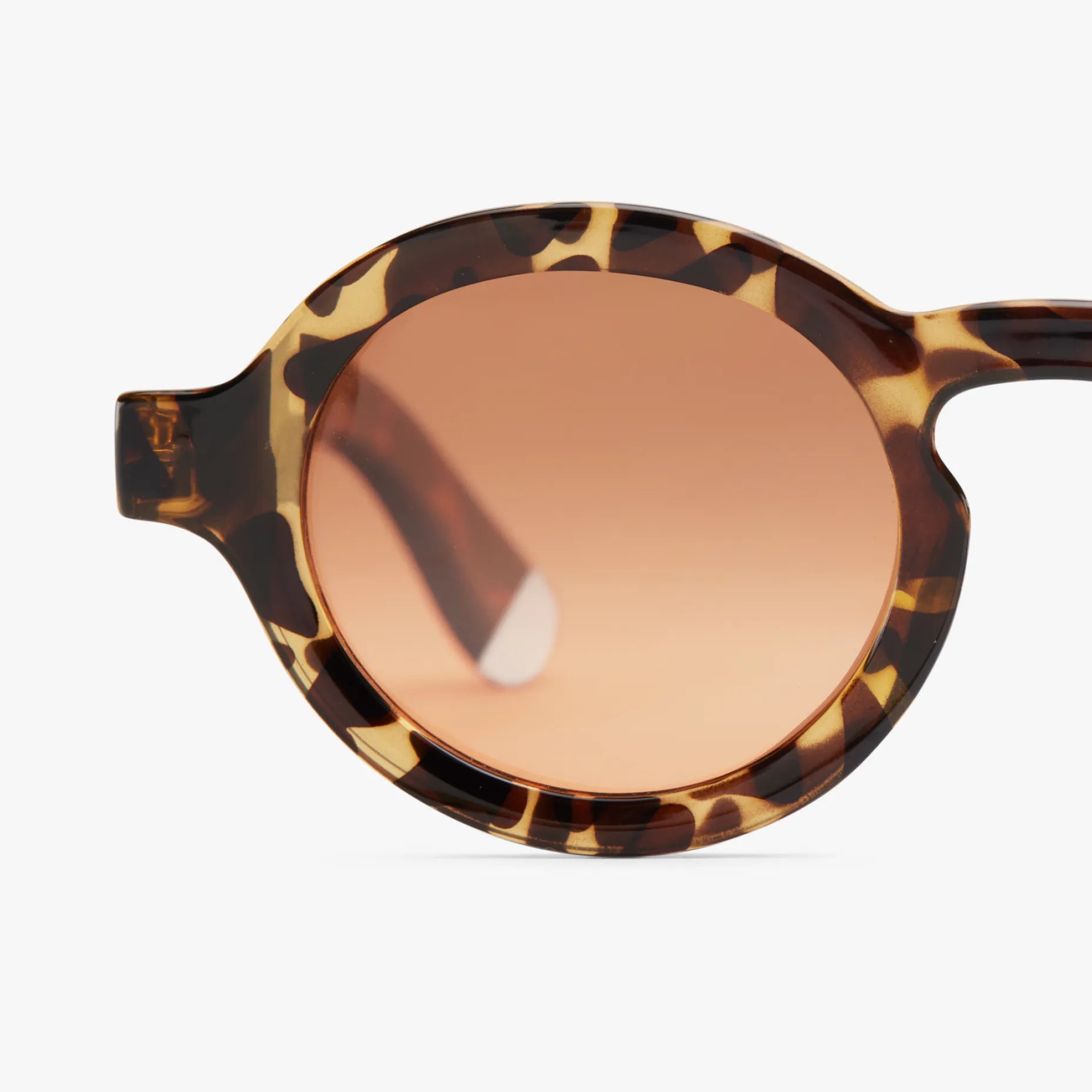 Charles Glossy Sunglasses