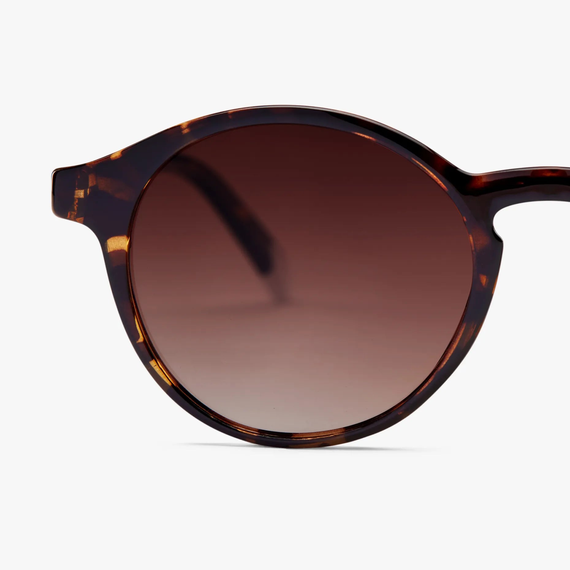 Le Marais Glossy Sunglasses