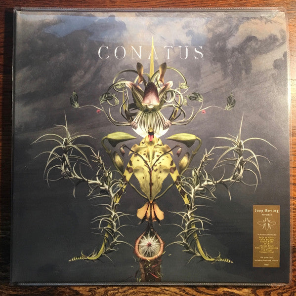 Joep Beving : Conatus (LP, Album + LP, S/Sided, Album)