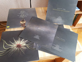 Joep Beving : Conatus (LP, Album + LP, S/Sided, Album)