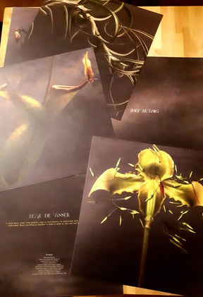 Joep Beving : Conatus (LP, Album + LP, S/Sided, Album)