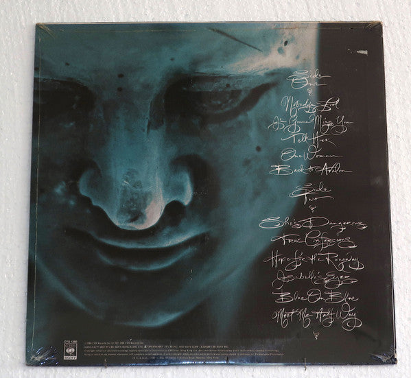 Kenny Loggins : Back To Avalon (LP, Album)