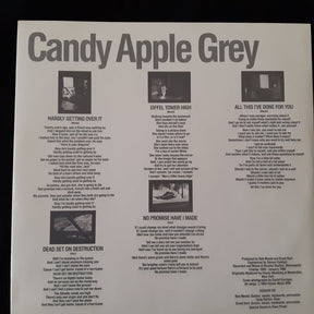 Hüsker Dü : Candy Apple Grey (LP, Album)