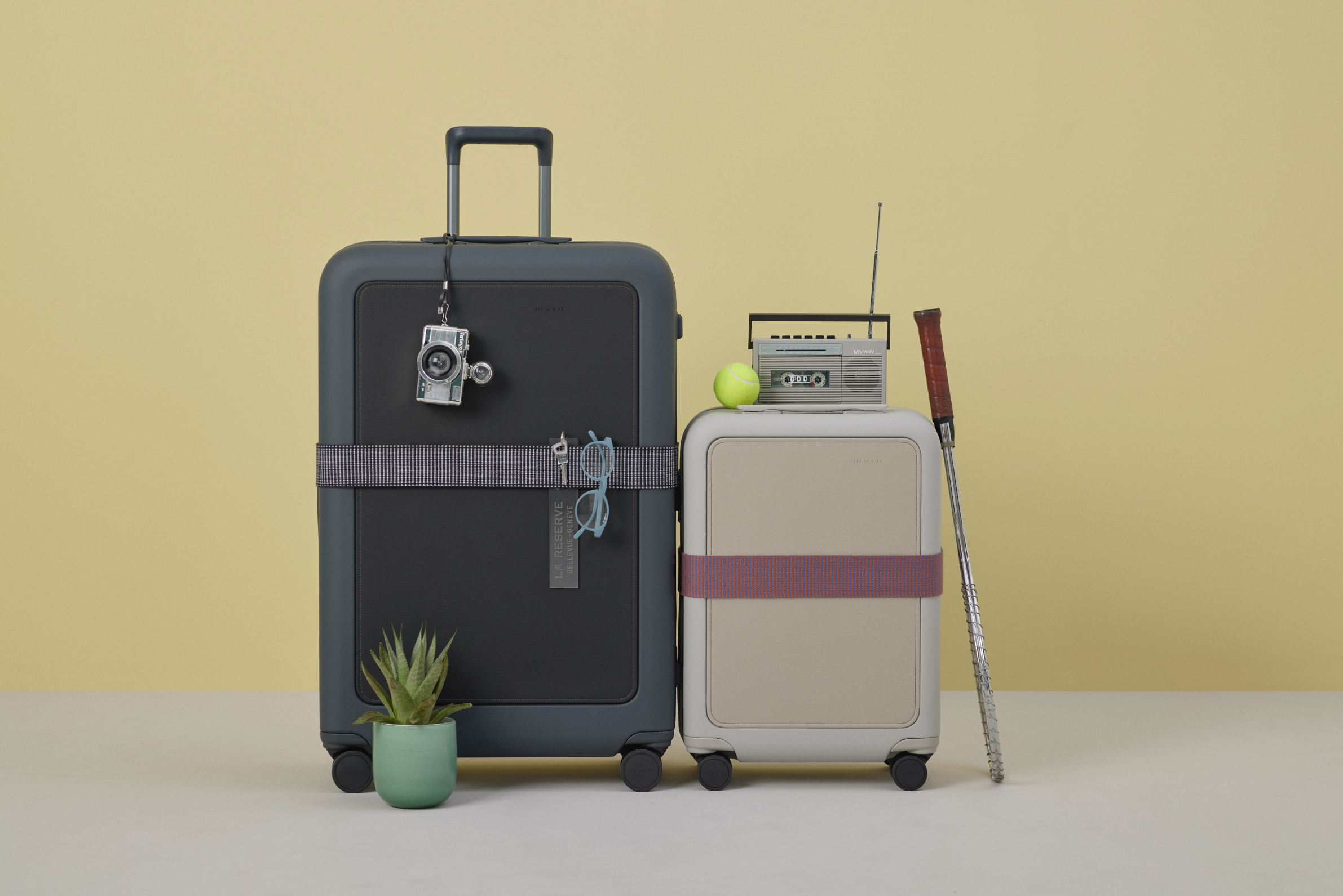 Luggage Belt, Purple