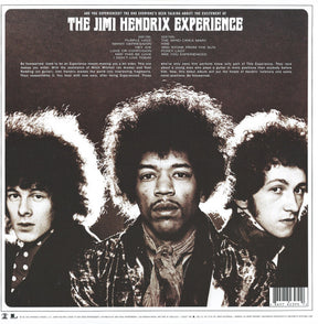 The Jimi Hendrix Experience : Are You Experienced (LP, Album, RE, RM, Gat)